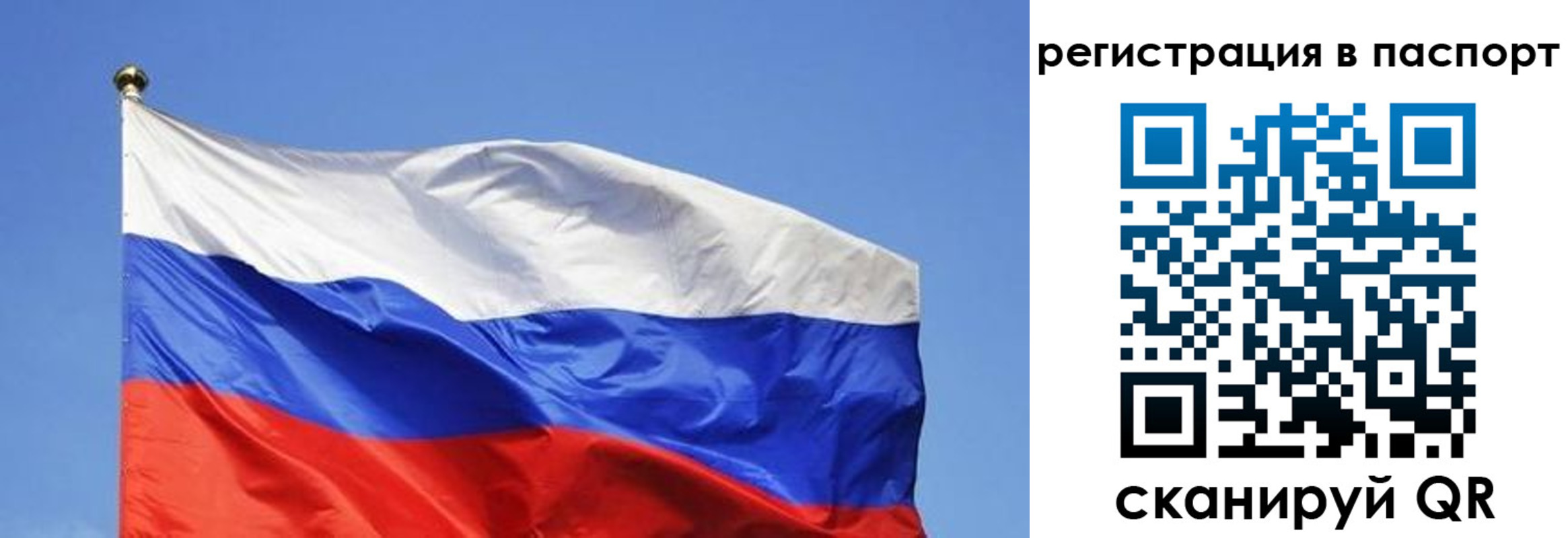 прописка в квартире в Лысково